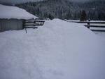 snow2.5.jpg