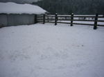 snow.jpg